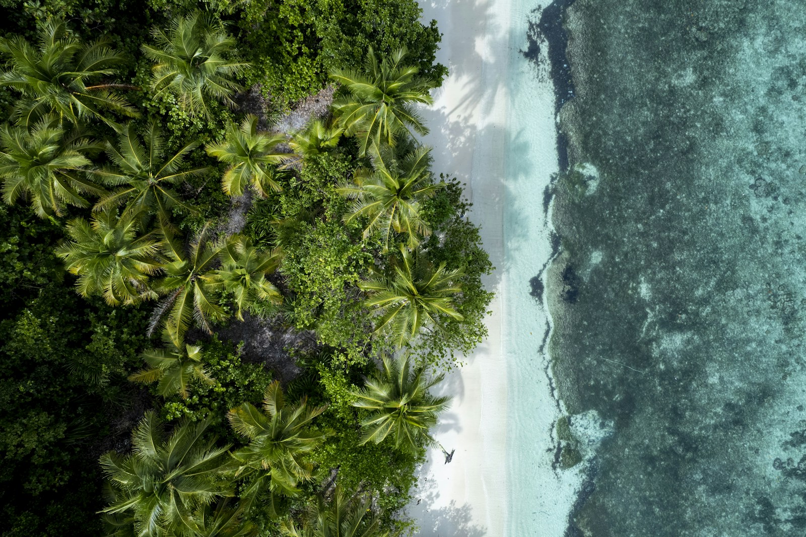 American Samoa National Park