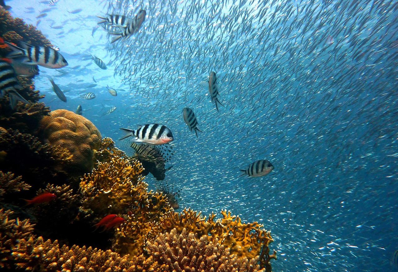 Biscayne National Park
