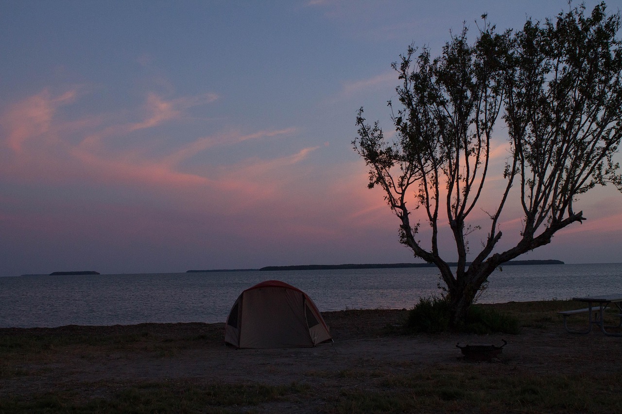 Best National Parks for Camping: Campgrounds, Backcountry, and Tips guide thumbnail