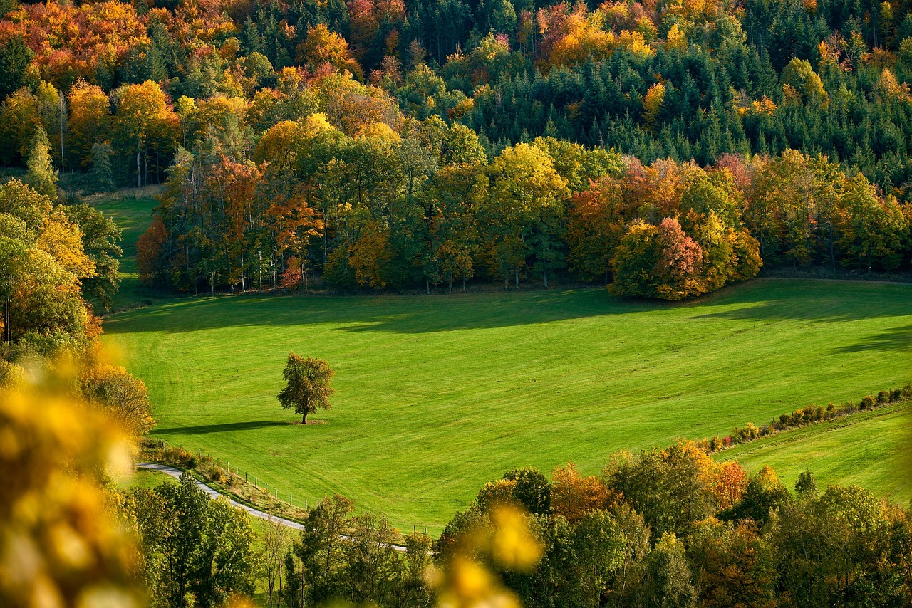 Best National Parks to Visit in Fall (September–November) guide thumbnail