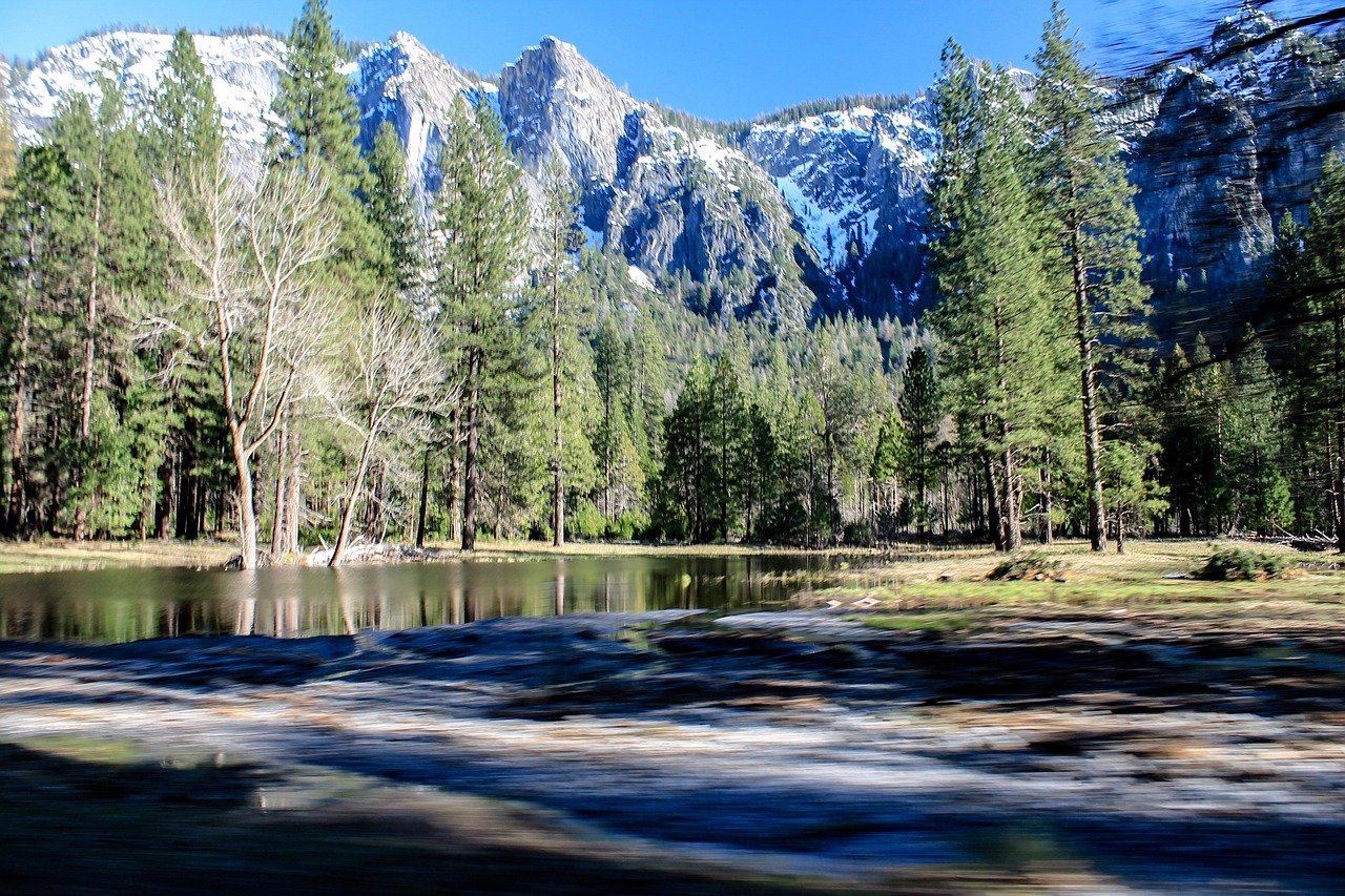 Yosemite vs Yellowstone: Which National Park Should You Visit?