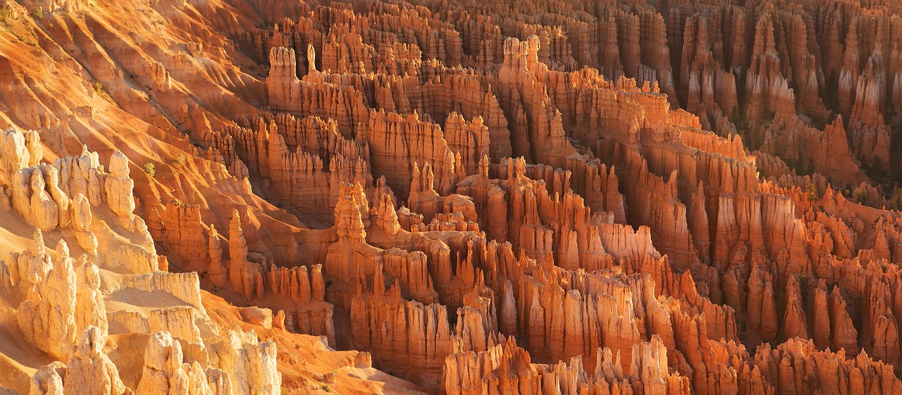 Zion vs Bryce Canyon — Which Utah National Park Should You Visit?