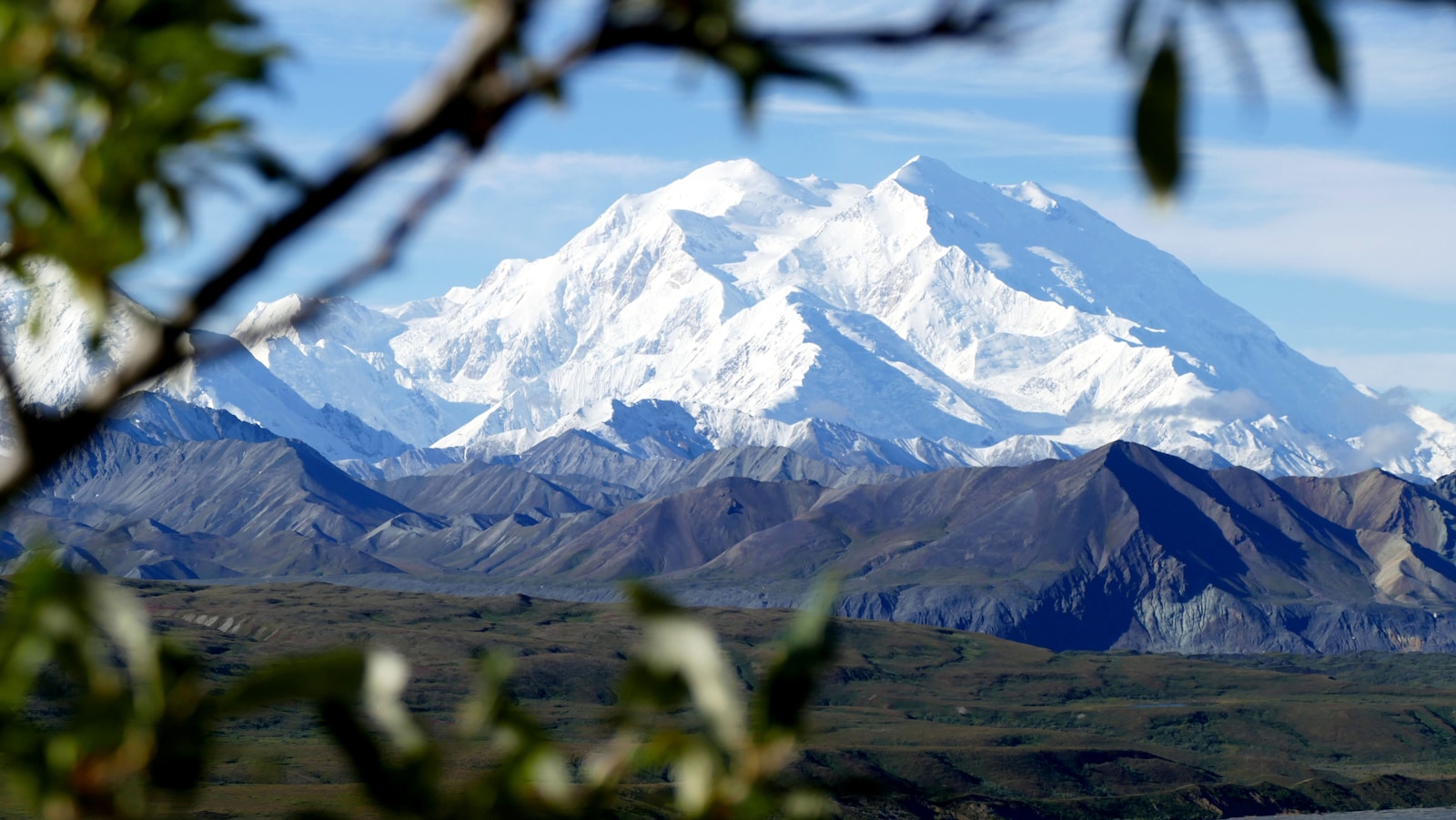 Denali National Park