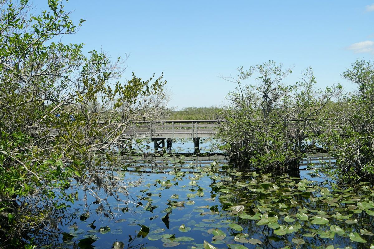 Everglades National Park