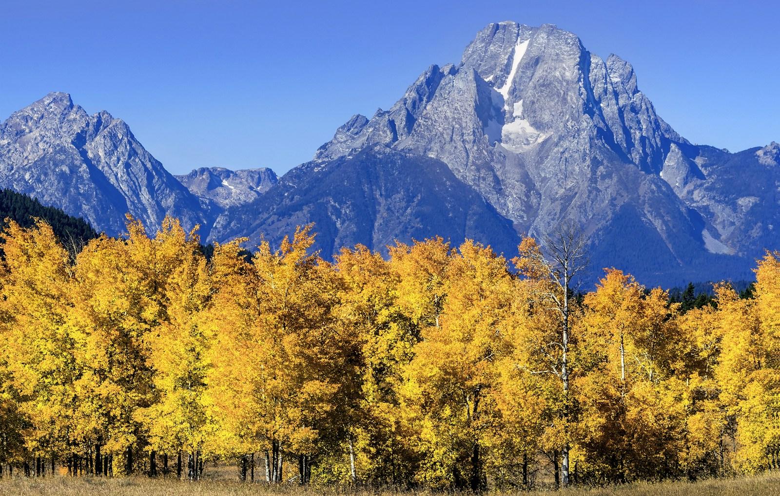 Best National Parks to Visit in October — Peak Fall Colors, Cool Weather, and Wildlife Spectacles guide thumbnail