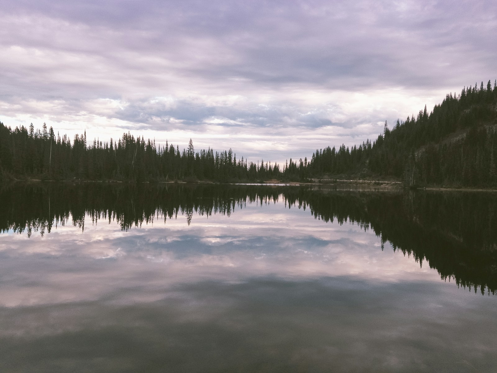 Mount Rainier National Park