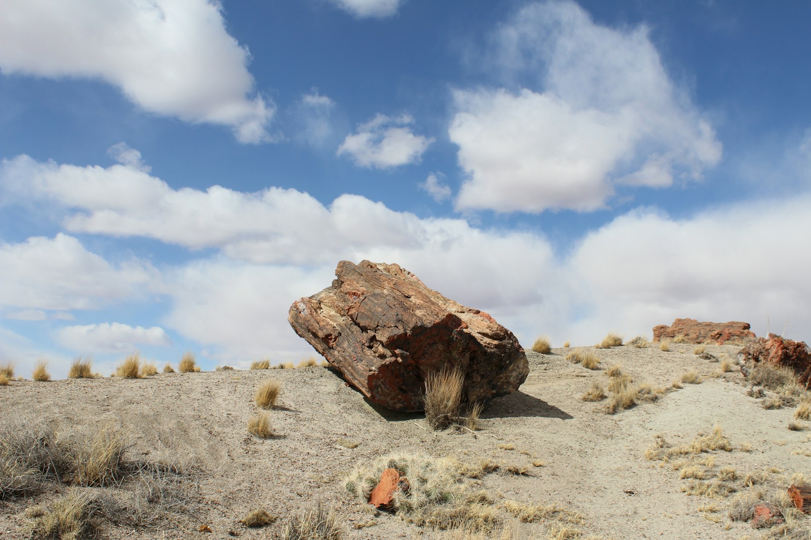 Petrified Forest National Park in Arizona — rated 7.9/10