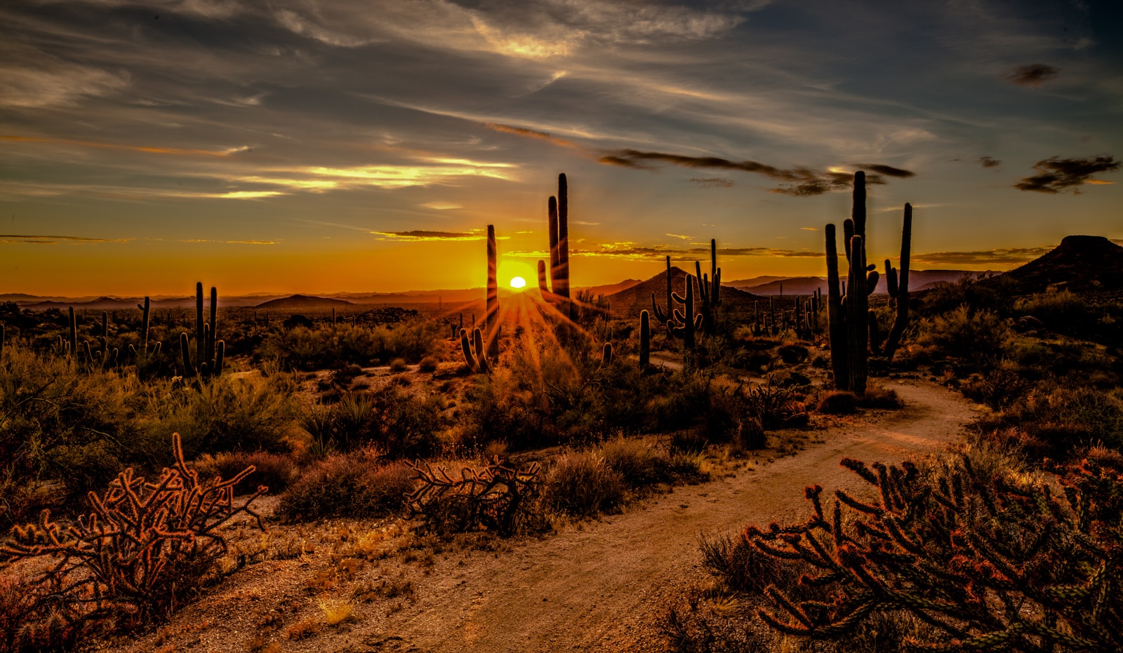 Saguaro National Park in Arizona — rated 7.9/10